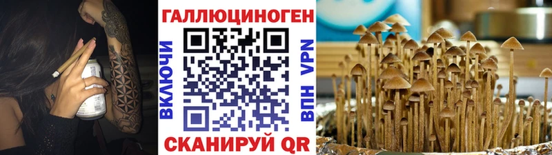 Галлюциногенные грибы Cubensis  Белоусово 